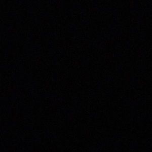 Meet your Posher, Kenzie